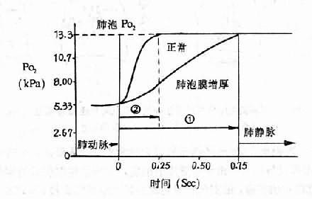 正常人与肺泡膜增厚时肺循环中血红蛋白氧合的时间过程