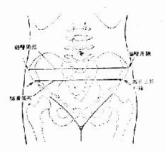 髂棘及髂嵴间径起止点