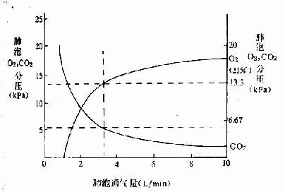 肺泡氧和二氧化碳分压与肺泡通气量的关系 