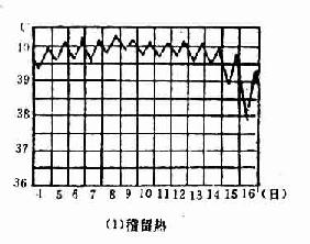 稽留热