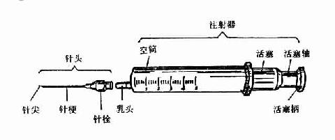 针头的构造