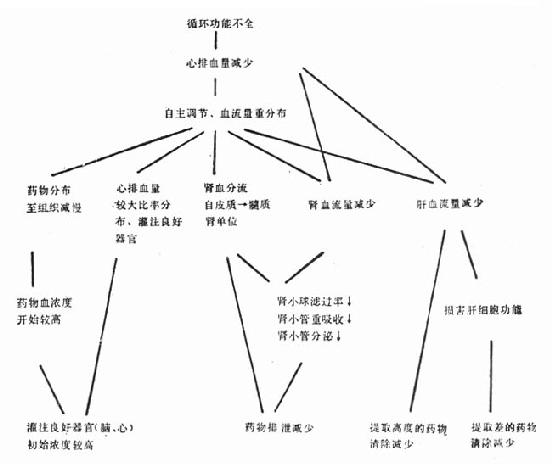 循环功能不全对药代动力学的影响