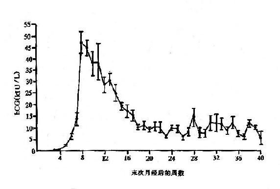 正常妊娠妇女血清中HCG平均值