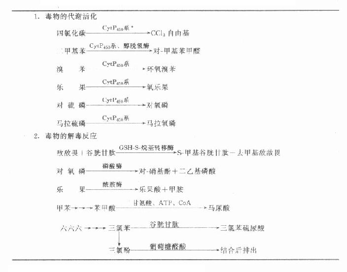 毒物的生物转化举例