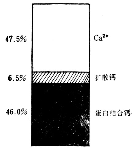 正常人血浆钙的状态 