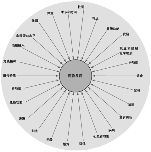 影响药物反应的各种因素