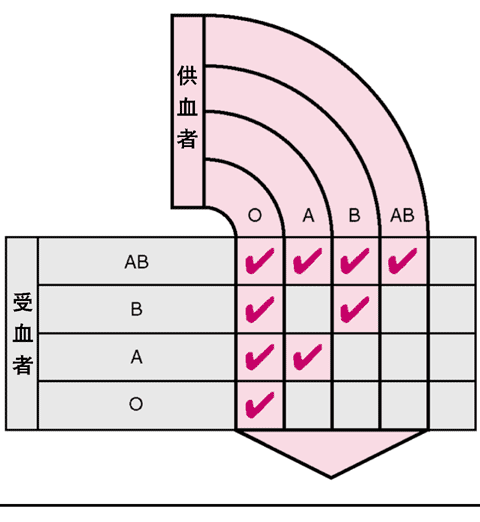 相合的血型