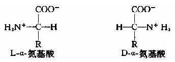 L-α-氨基酸(L-α-amino acid)结构通式