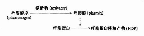 纤维蛋白溶解机理