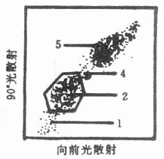  双指标点图上细胞的框定