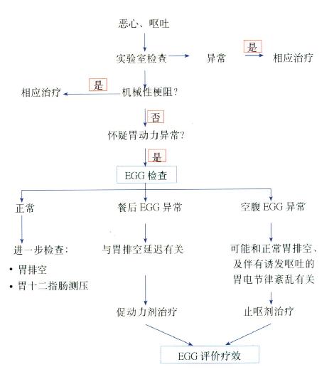 使用EGG诊断胃肠紊乱的建议程序图