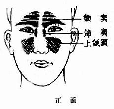 鼻窦体表位置