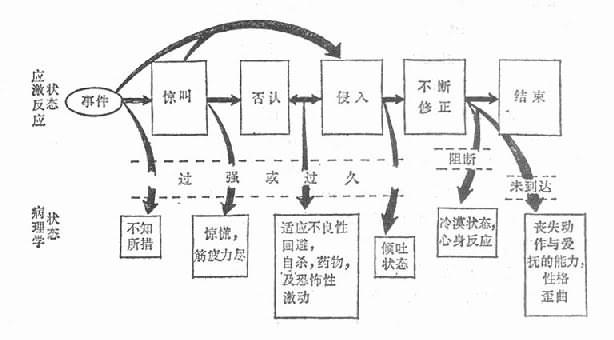 应激状态的时相（Horowitz,1981）