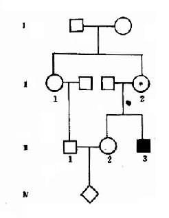 一例常染色体陷性遗传病系谱