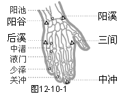 手少阳三焦经穴